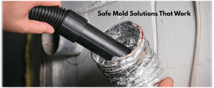 Air Duct Mold Removal in Sugar Land