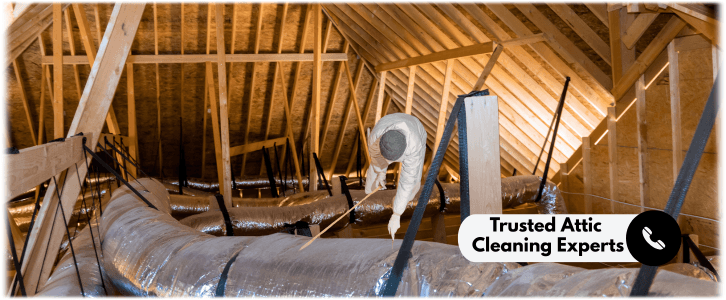 Attic Cleaning Sugar Land