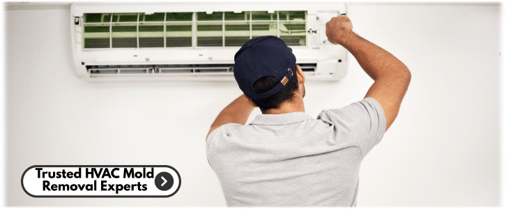 HVAC Mold Removal Sugar Land